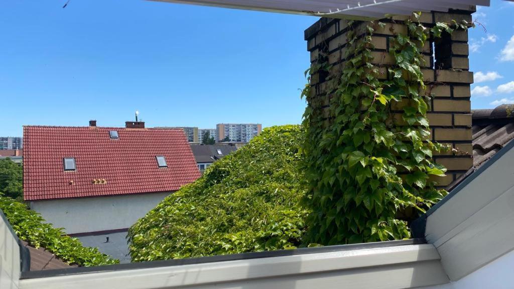 Apartamenty Forest&Sea Свиноуйсьце Номер фото