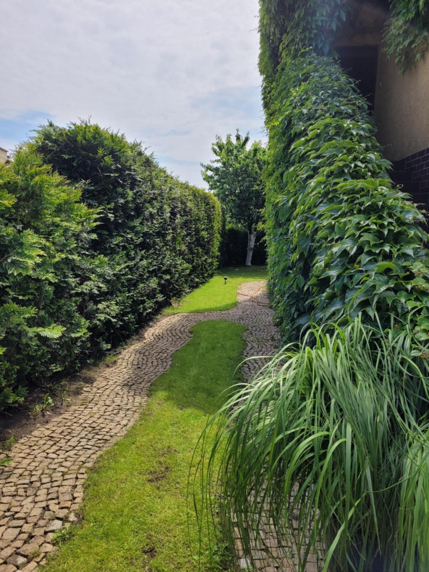 Apartamenty Forest&Sea Свиноуйсьце Номер фото